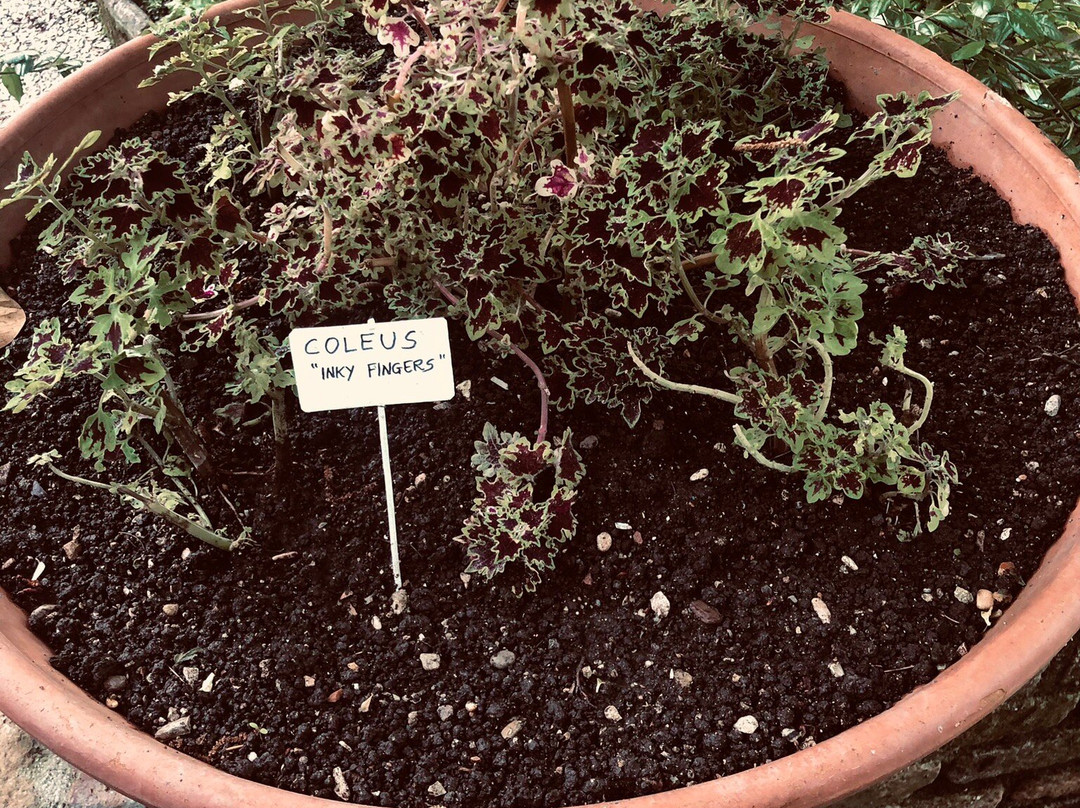 Orto Botanico Dell'Università di Urbino Carlo Bo-乌尔比诺必去景点