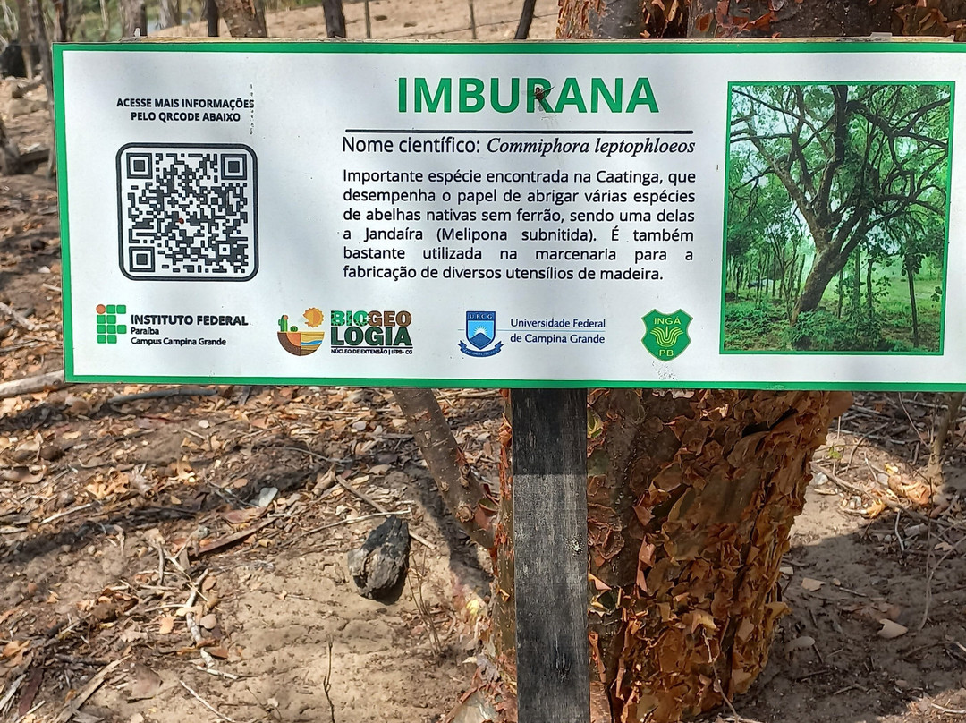 Stone of Inga-Inga必去景点