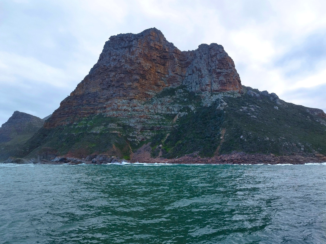 Duiker Island-木湾必去景点