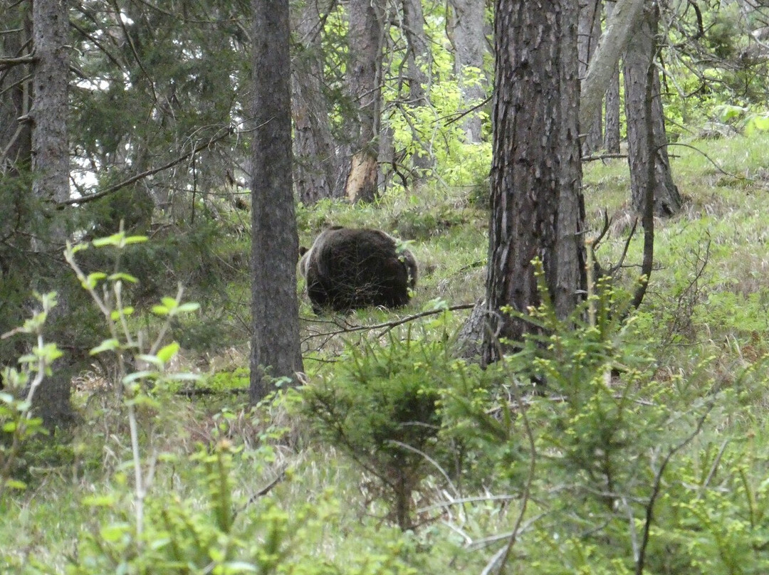 Slovak Wildlife Society-Liptovsky Hradok必去景点
