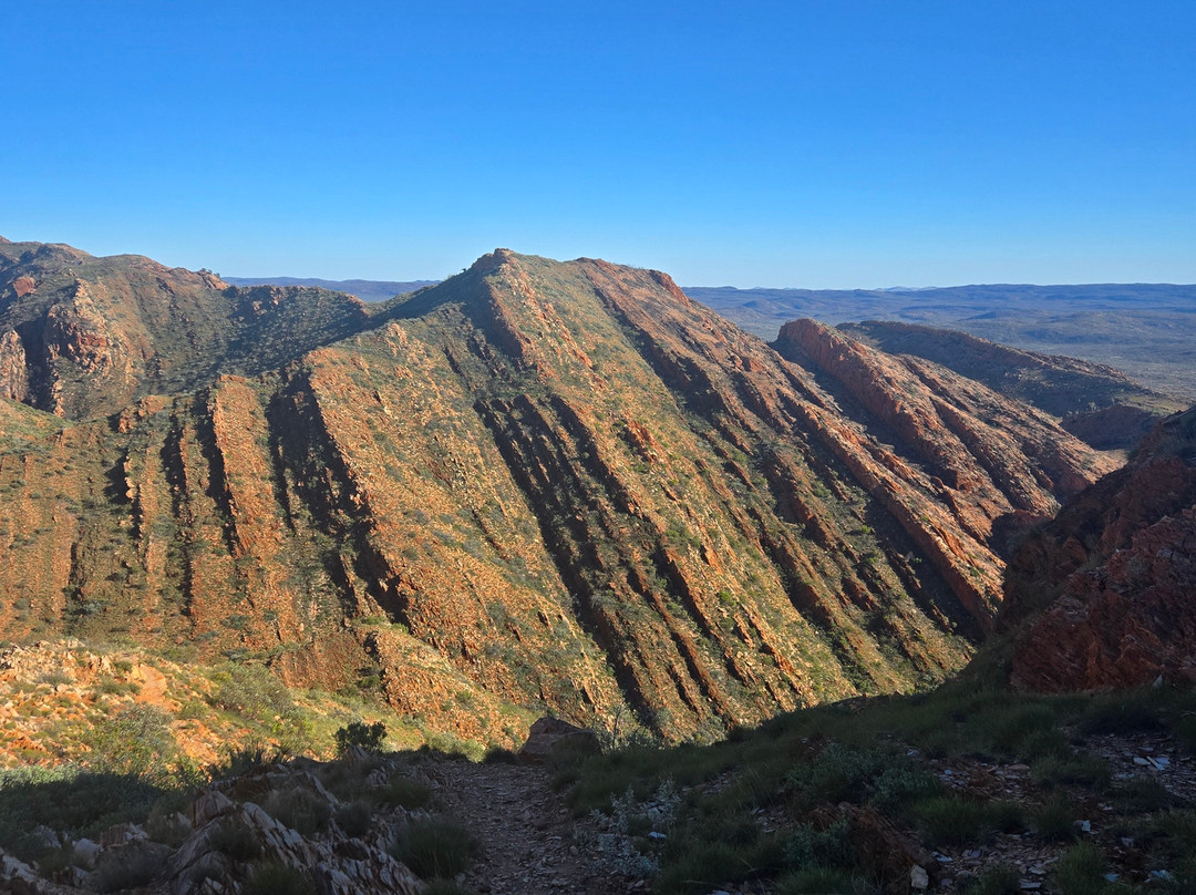 Larapinta Trail Trek Support-爱丽斯泉必去景点