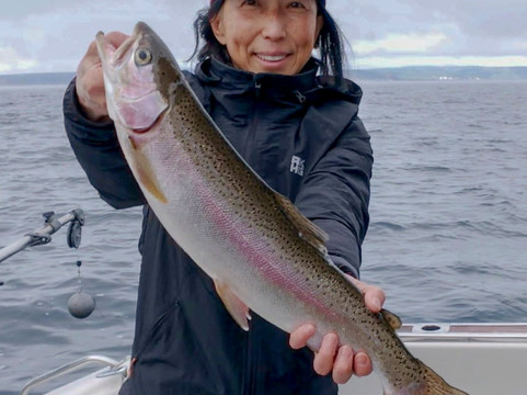 Fish Taupo-陶波必去景点