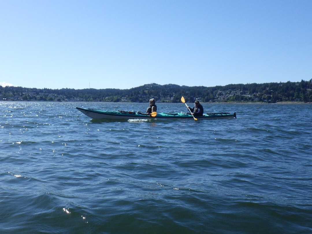 Island Römer Adventures景点图片