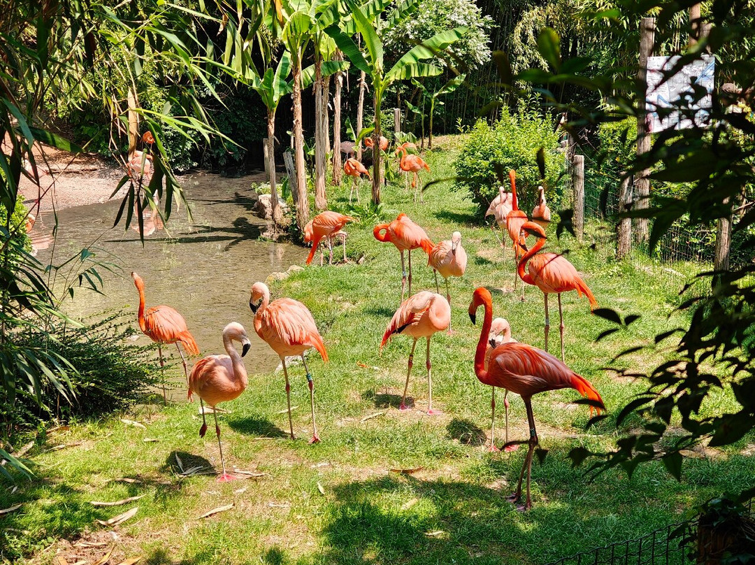 Parco Natura Viva景点图片