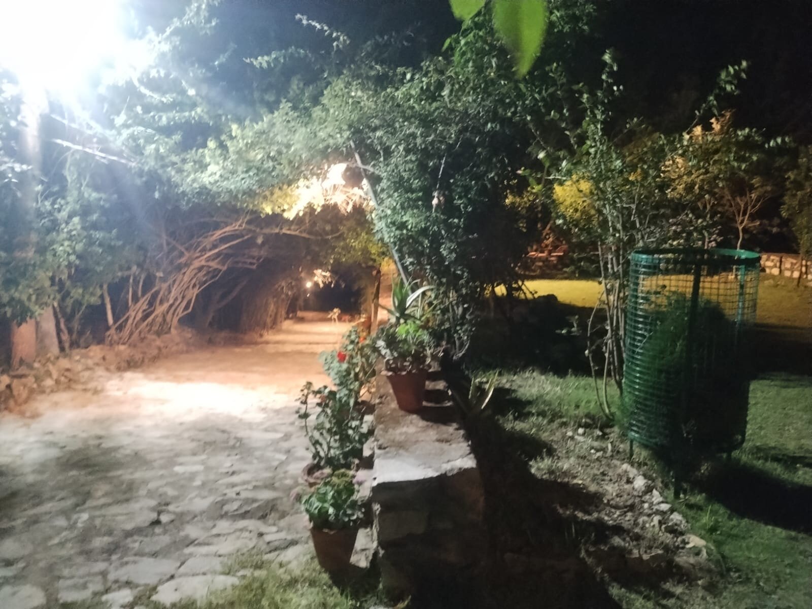 Renz Himalayan Retreat-官方