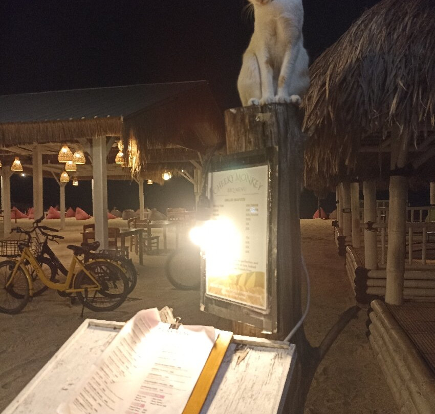 Gili Air Island景点图片
