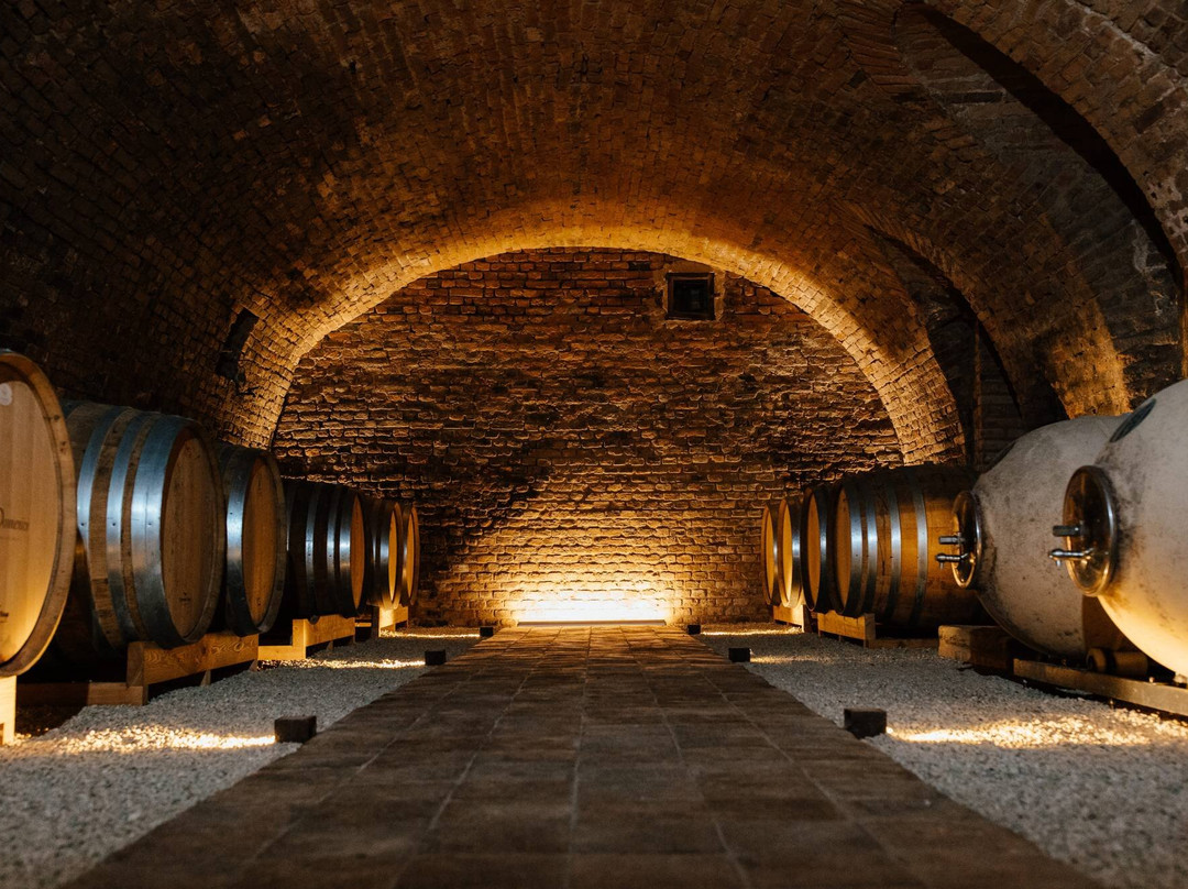 Azienda Agricola Serra Domenico景点图片