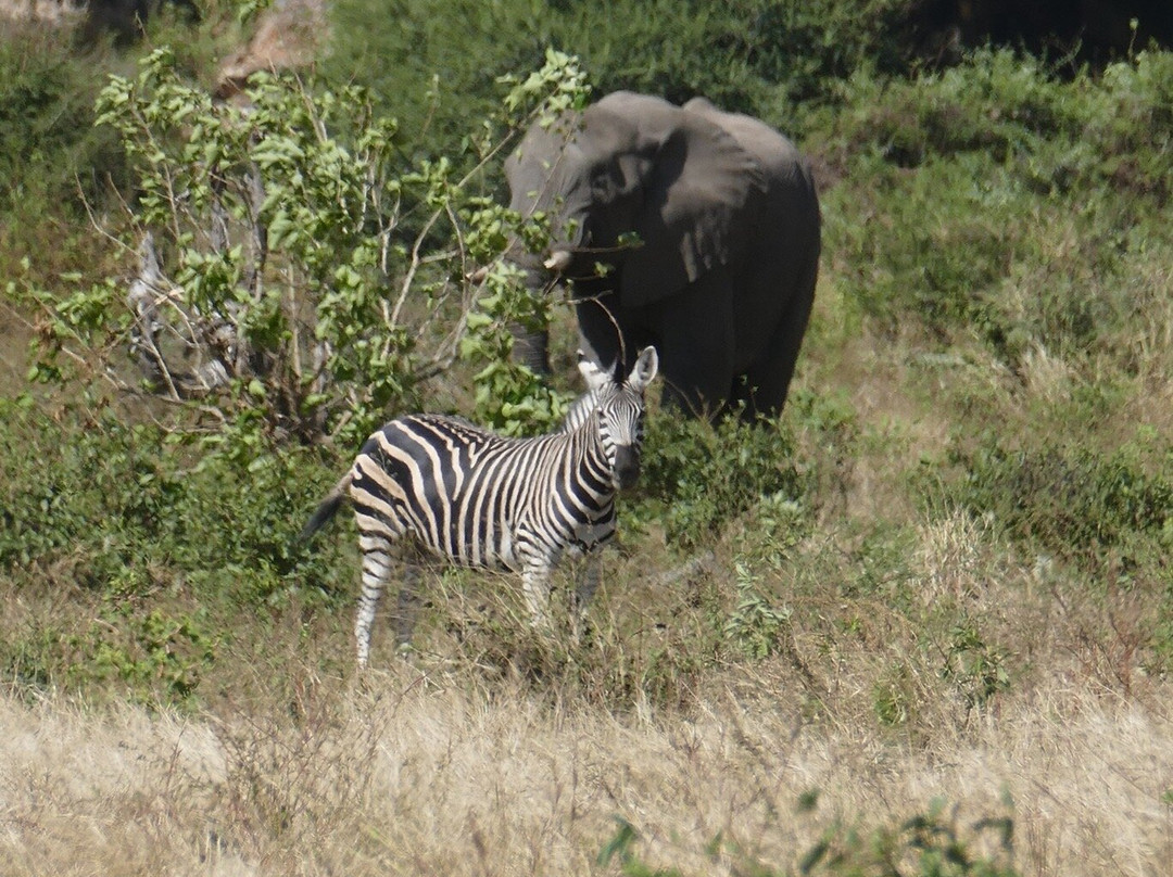 马蓬古布韦文化景观-Mapungubwe National Park必去景点