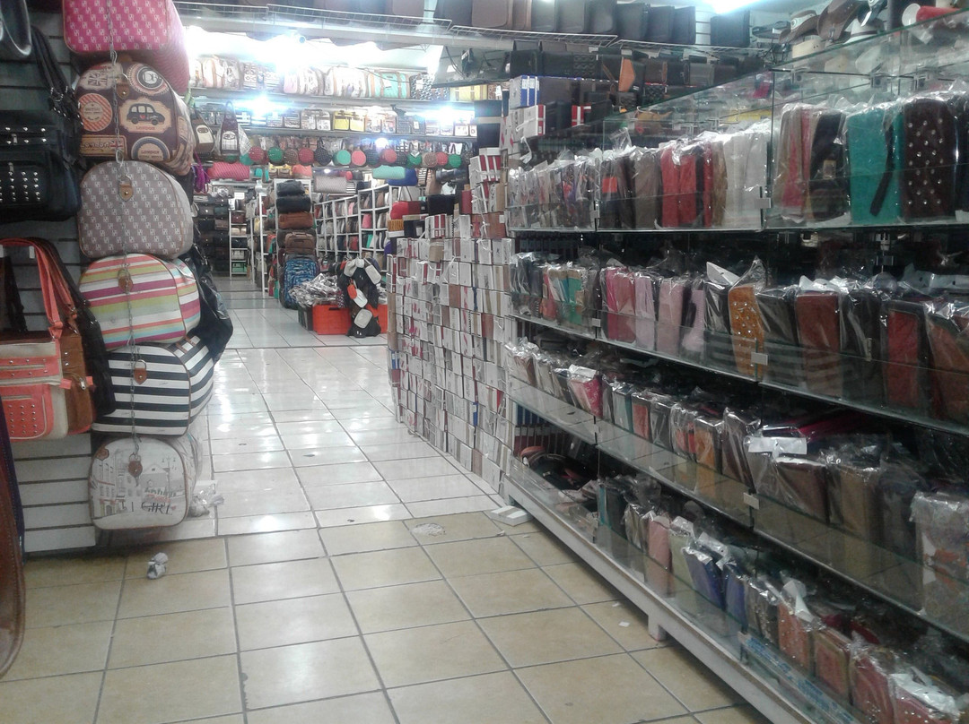 Zona Piel-利昂必去景点