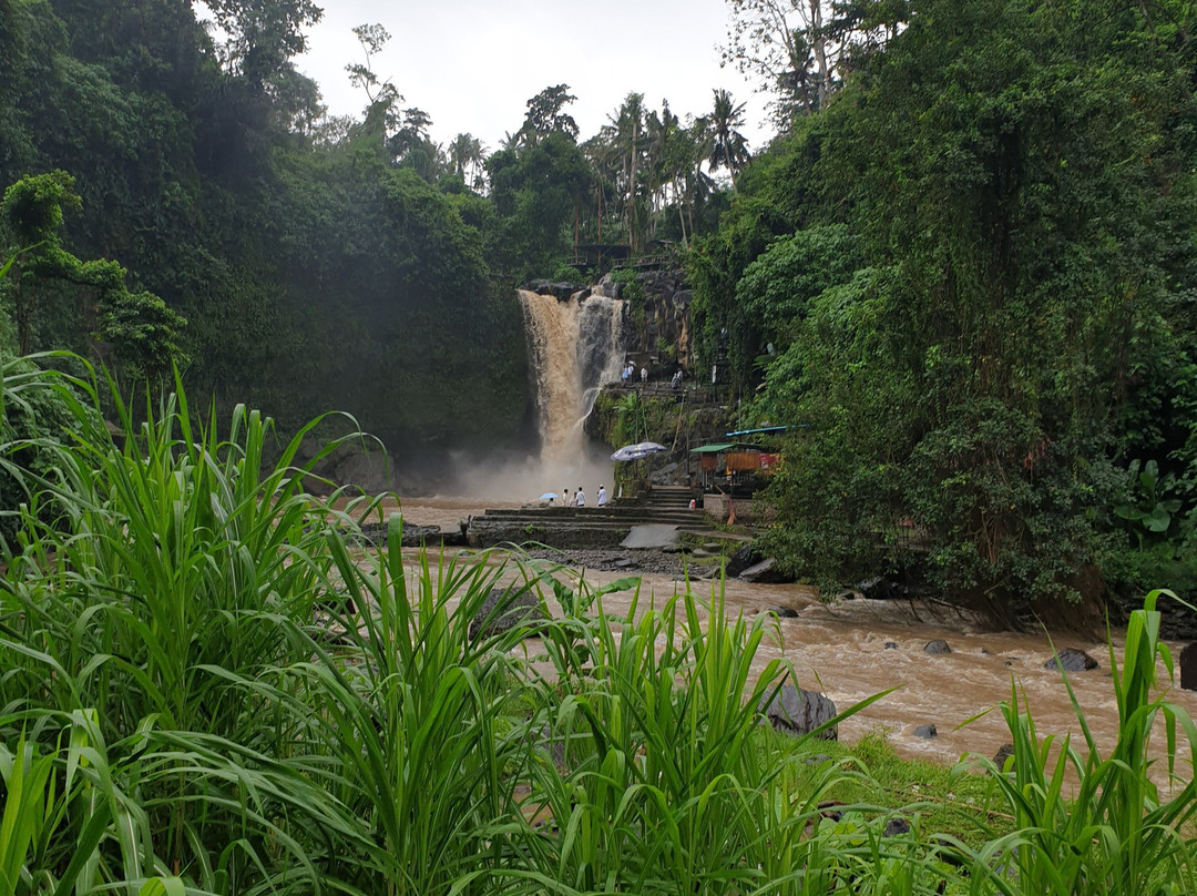 Bali Sunrise Tour-金塔马尼必去景点