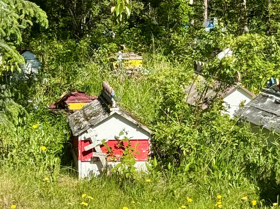 Eklutna Village Historic Park-Chugiak必去景点