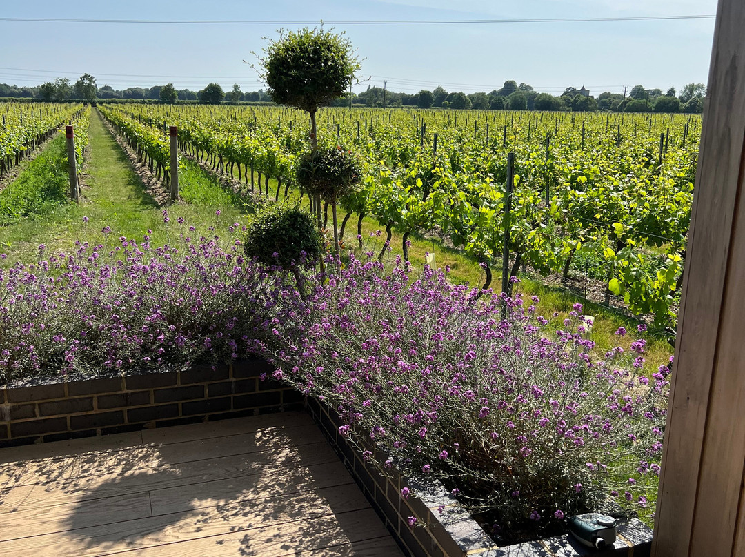 Tinwood Estate Vineyard景点图片
