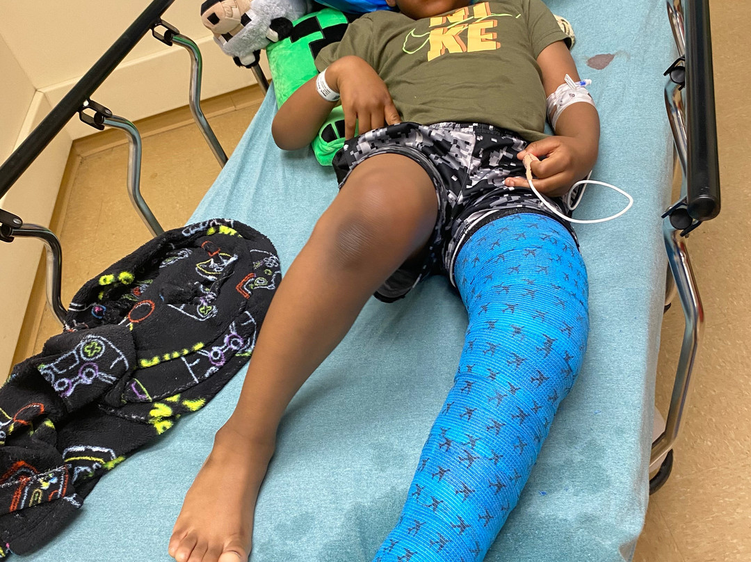 Party Safari-Flowood必去景点