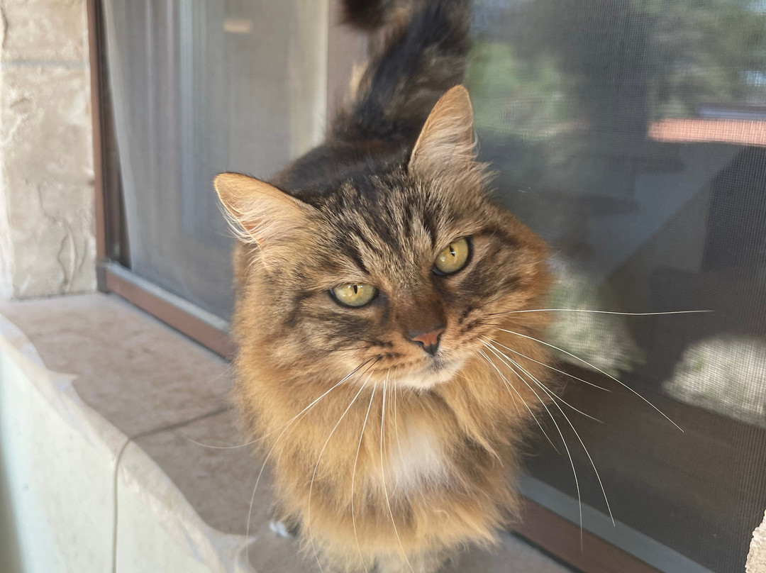 Rifugio Domo Mea-Olmedo必去景点