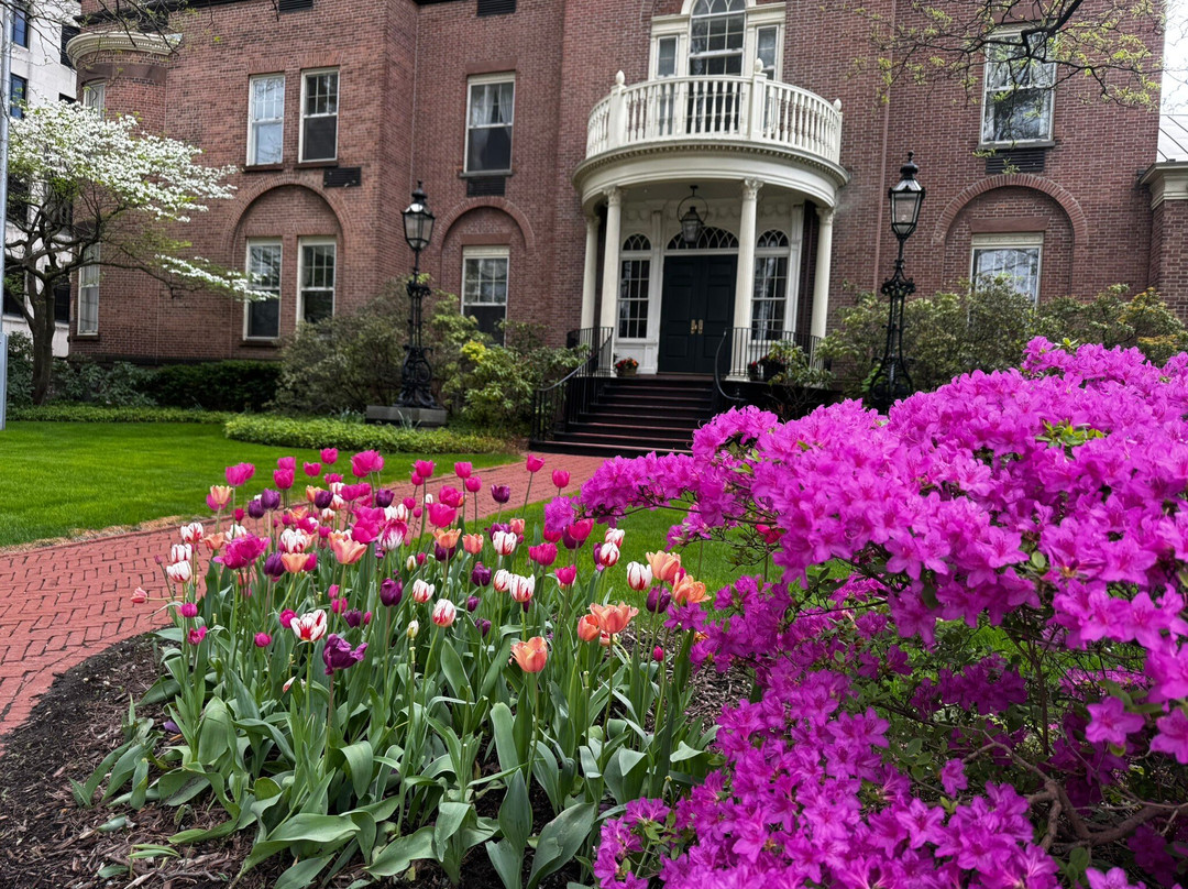 华盛顿公园-奥尔巴尼必去景点