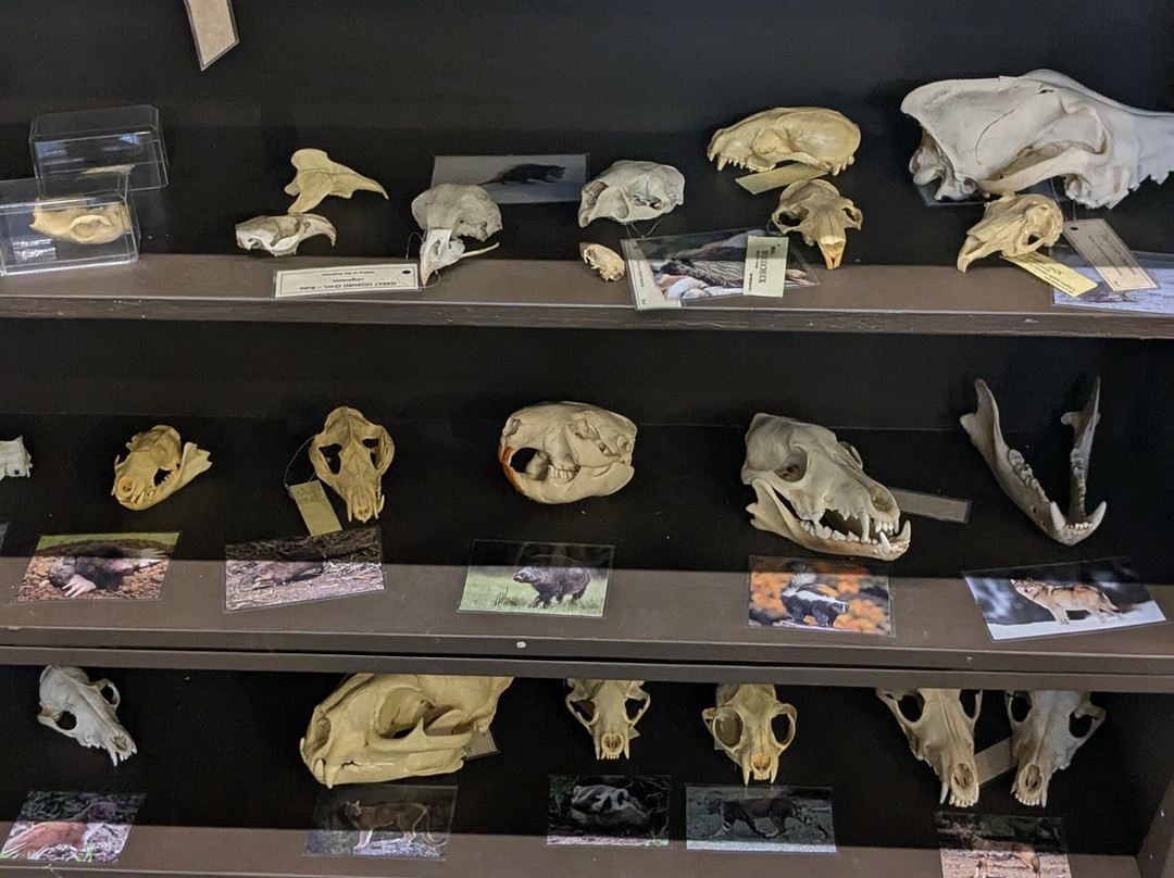 Outdoor Discovery Center-荷兰村必去景点