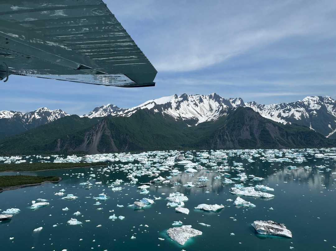 AA Seward Air Tours-苏厄德必去景点