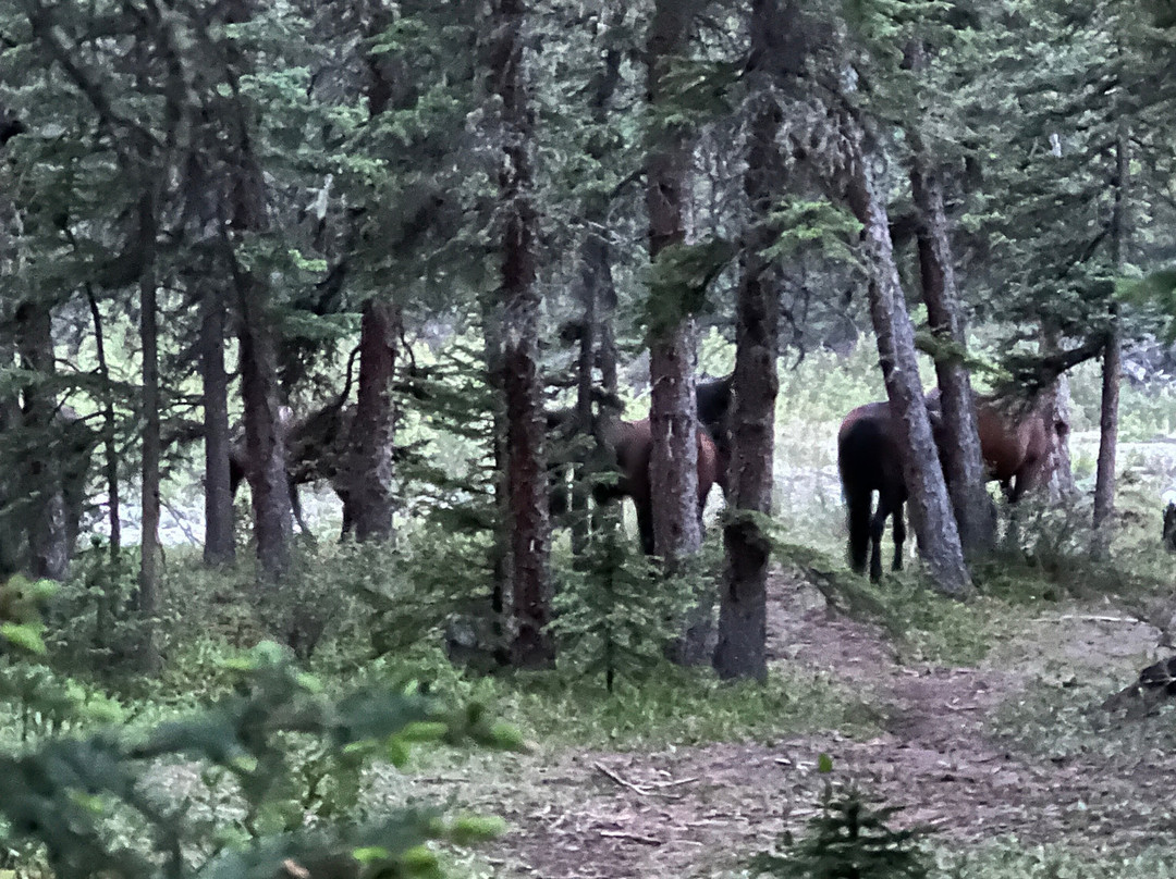 Mukwah Rafting Tours Day Tours-桑德必去景点