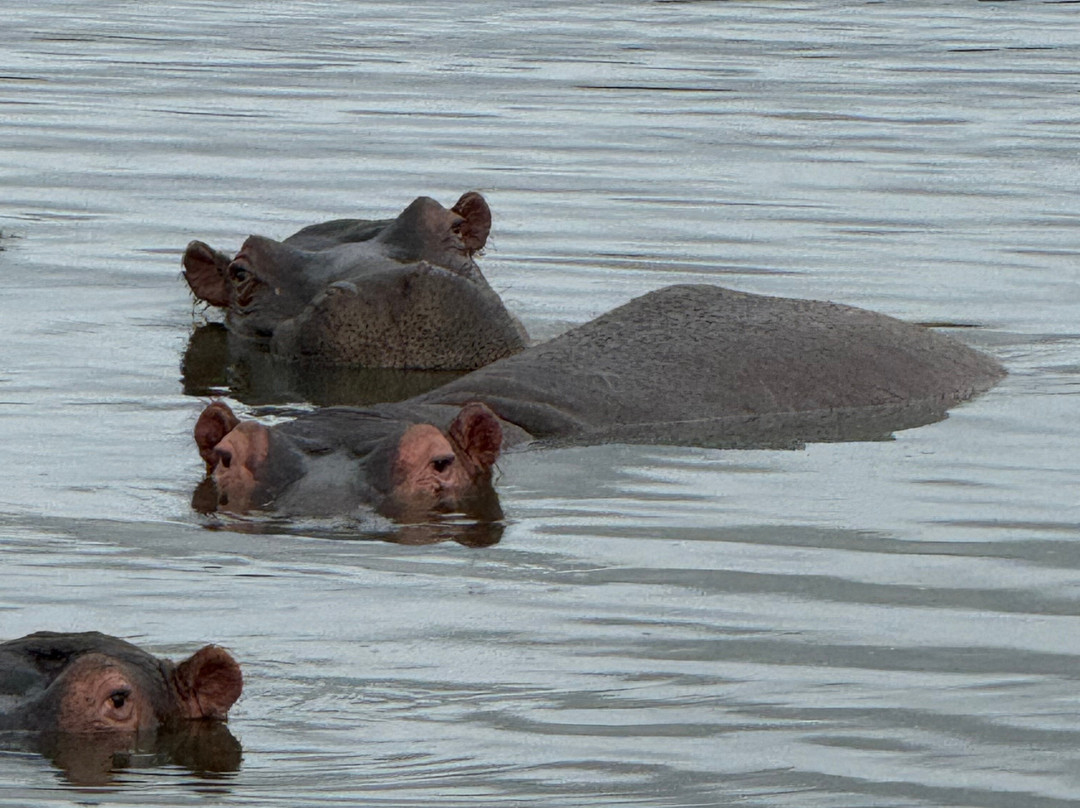 Shimungwe Lodge主图