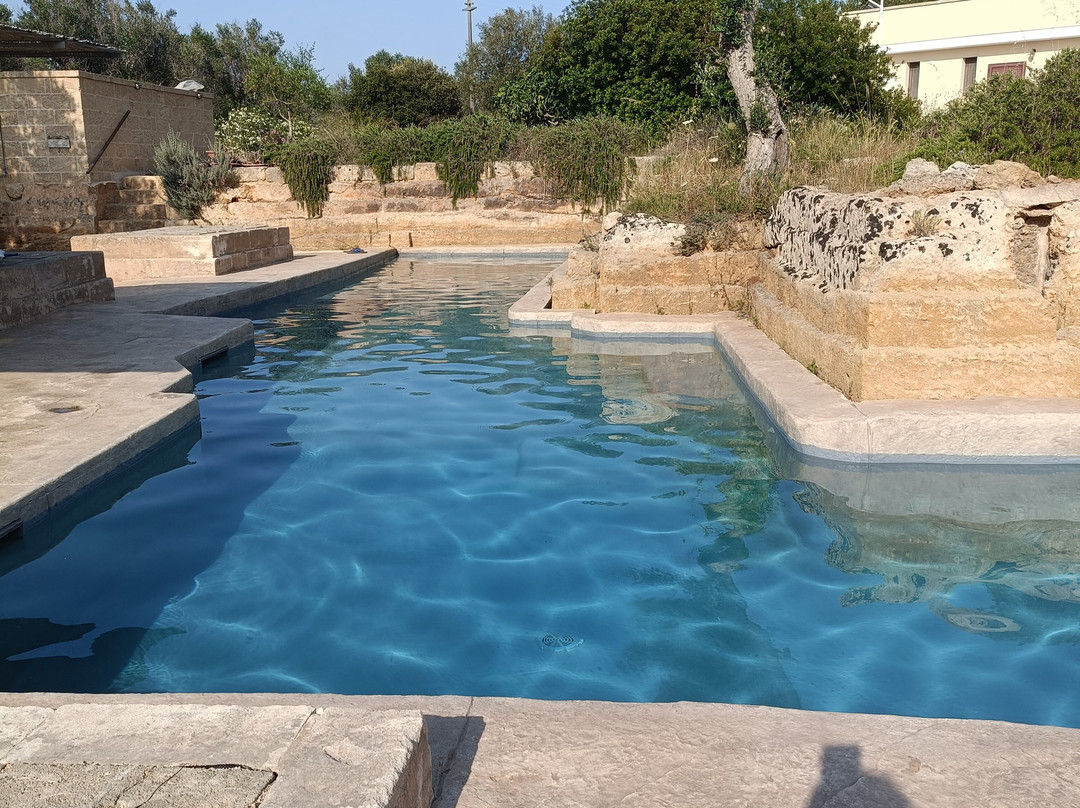 B&B Villa delle Palme主图