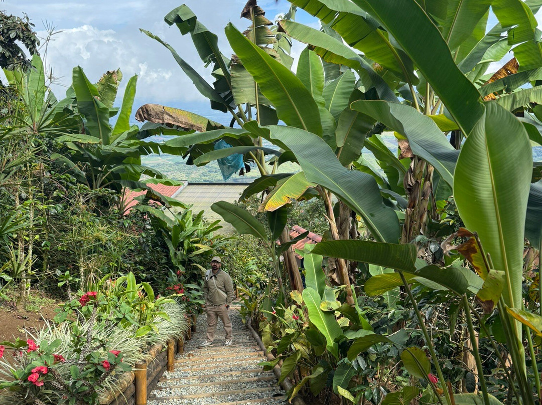 La Cima Eco Hotel主图