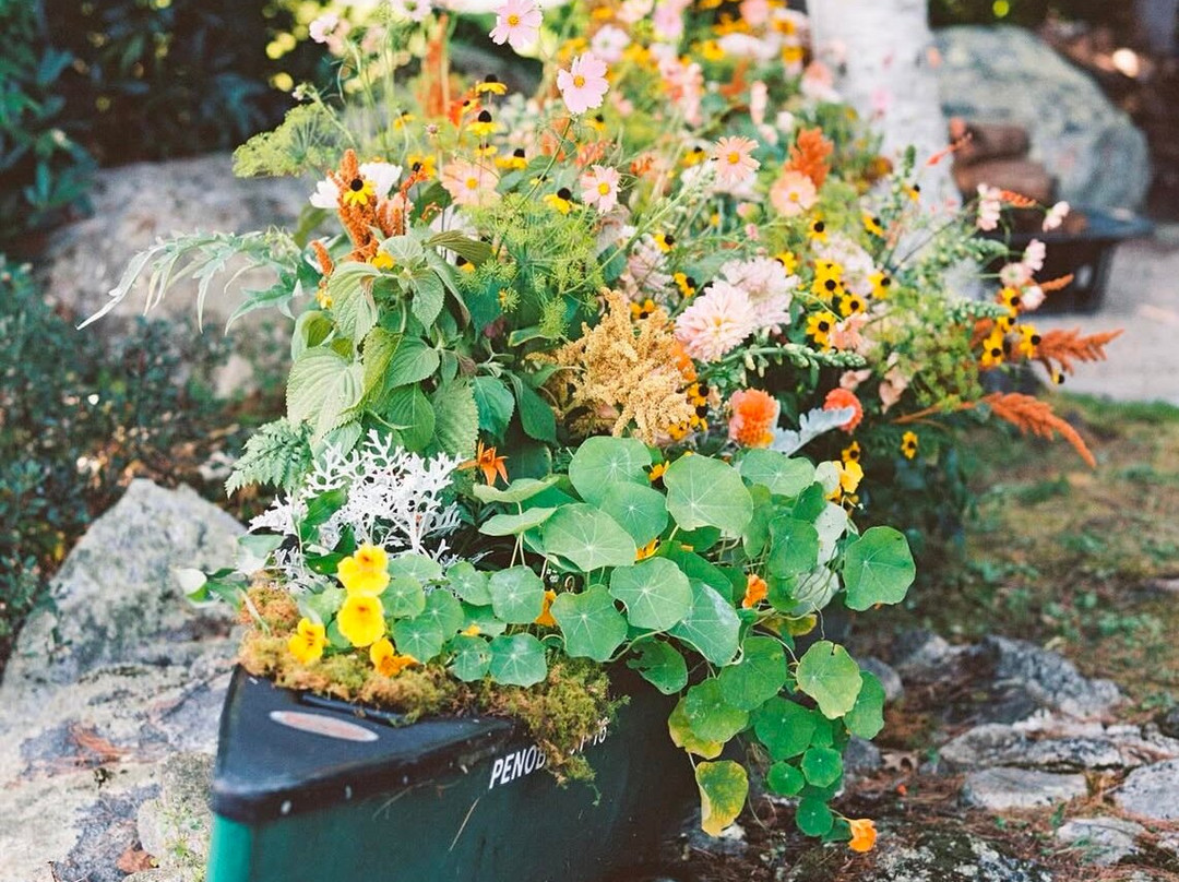 Inn At Pleasant Lake主图