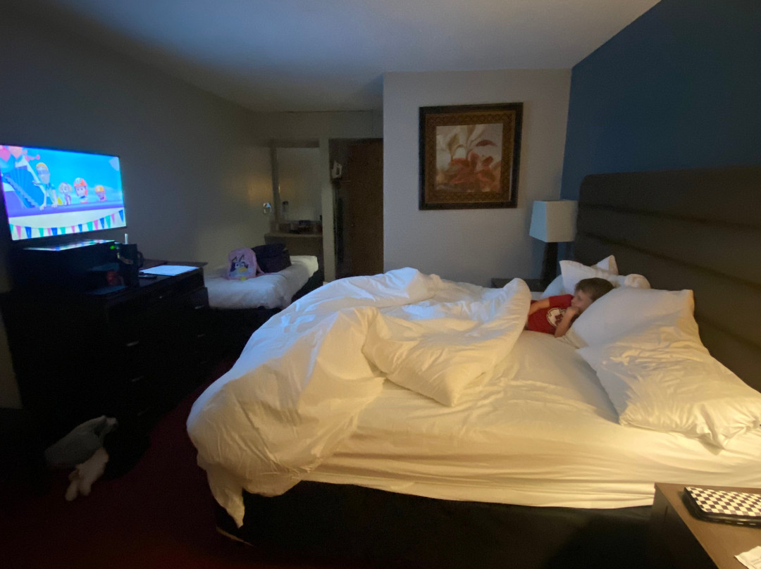 Dollinger's Motor Inn主图