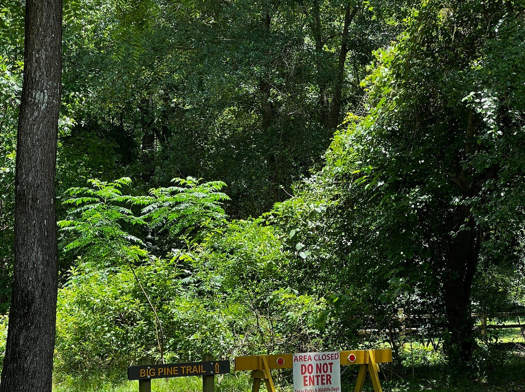 Mission Tejas State Park-Grapeland必去景点