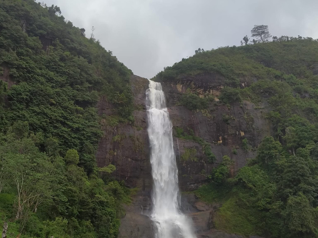 Gartmore Falls-马斯凯利耶必去景点