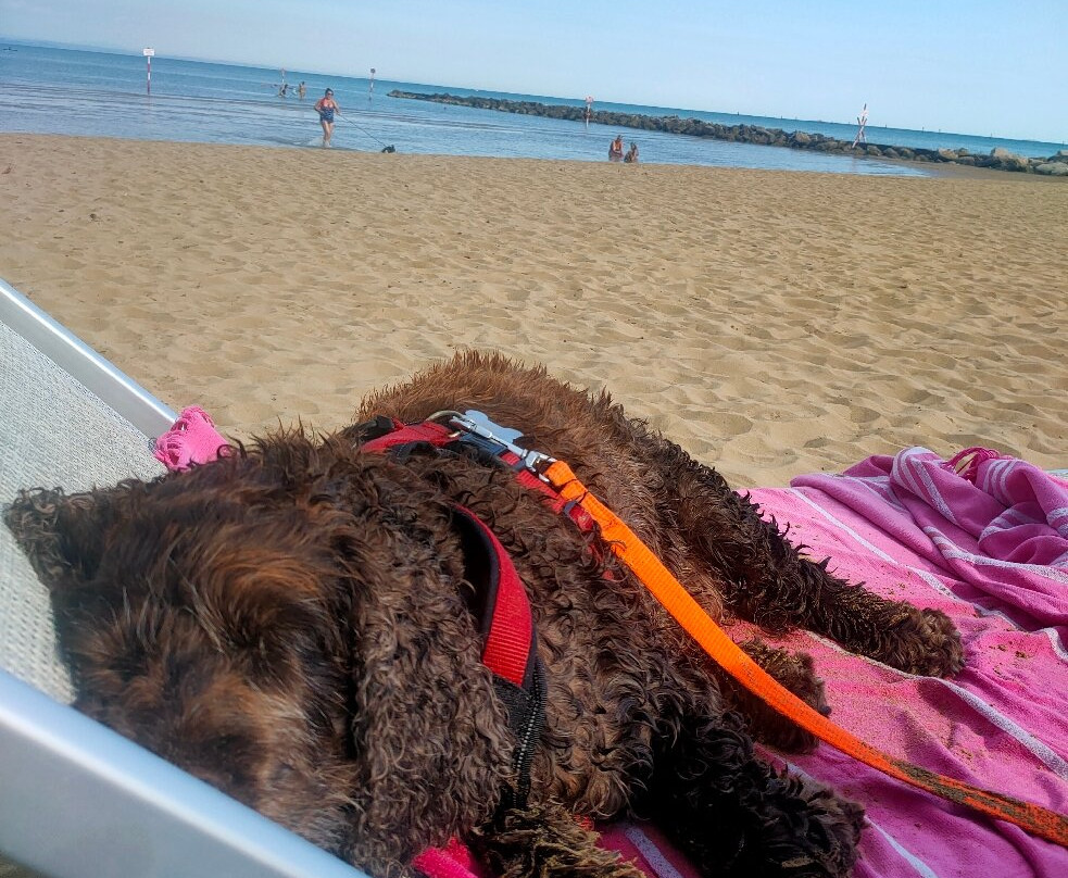 La spiaggia di Duke-利尼亚诺萨比亚多罗必去景点