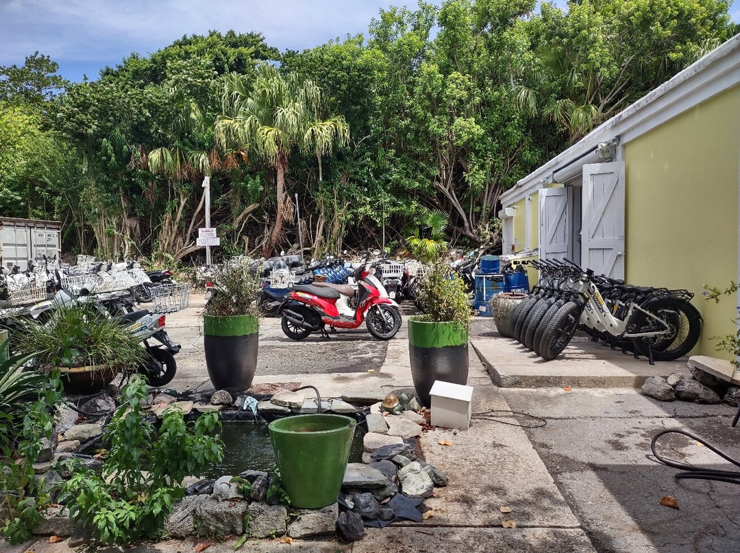 Elbow Beach Cycles-佩吉特教区必去景点