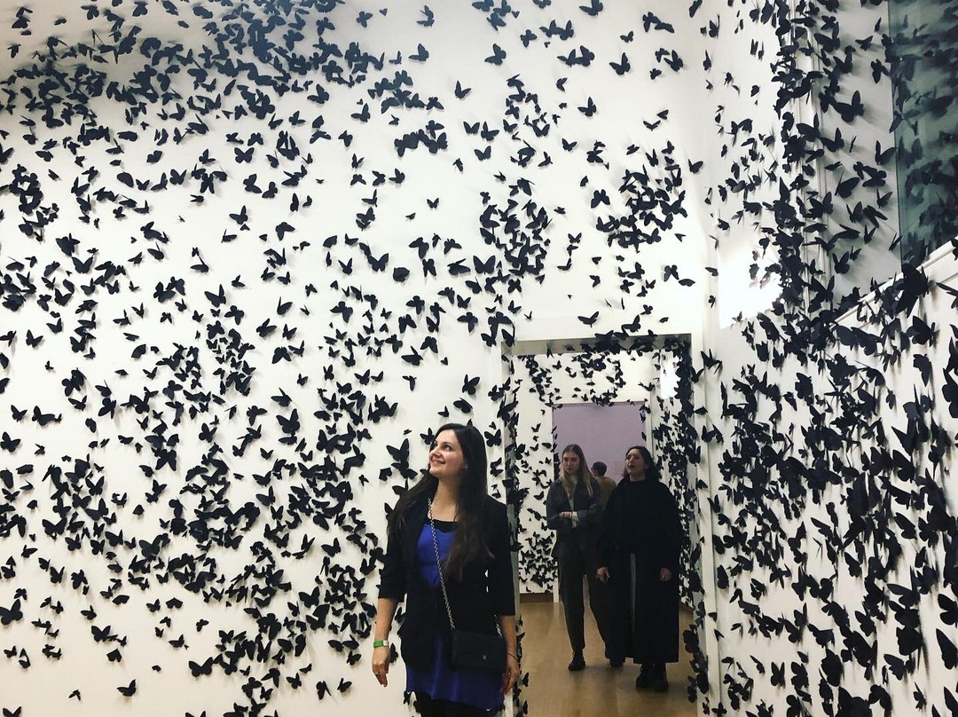 Snurk.Travel-阿姆斯特丹必去景点