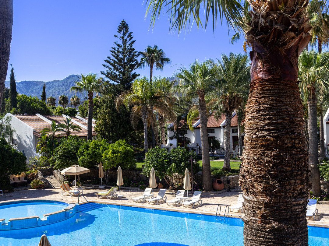 Almond Holiday Village主图