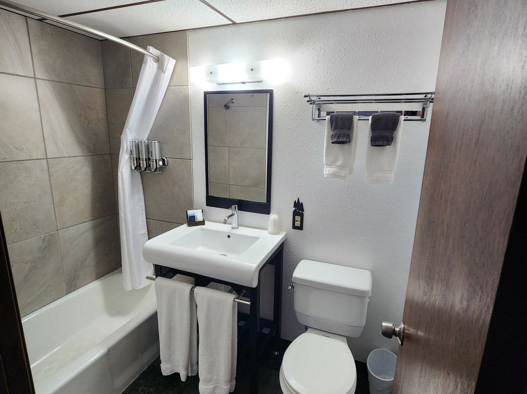 The Carter Inn主图