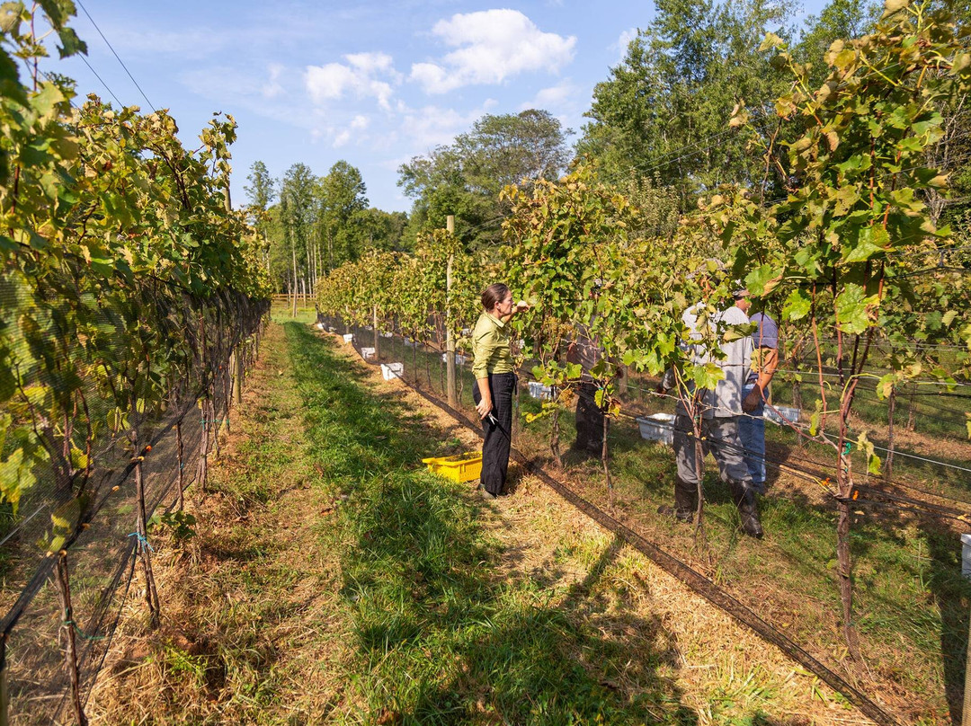 Revalation Vineyards-Madison必去景点