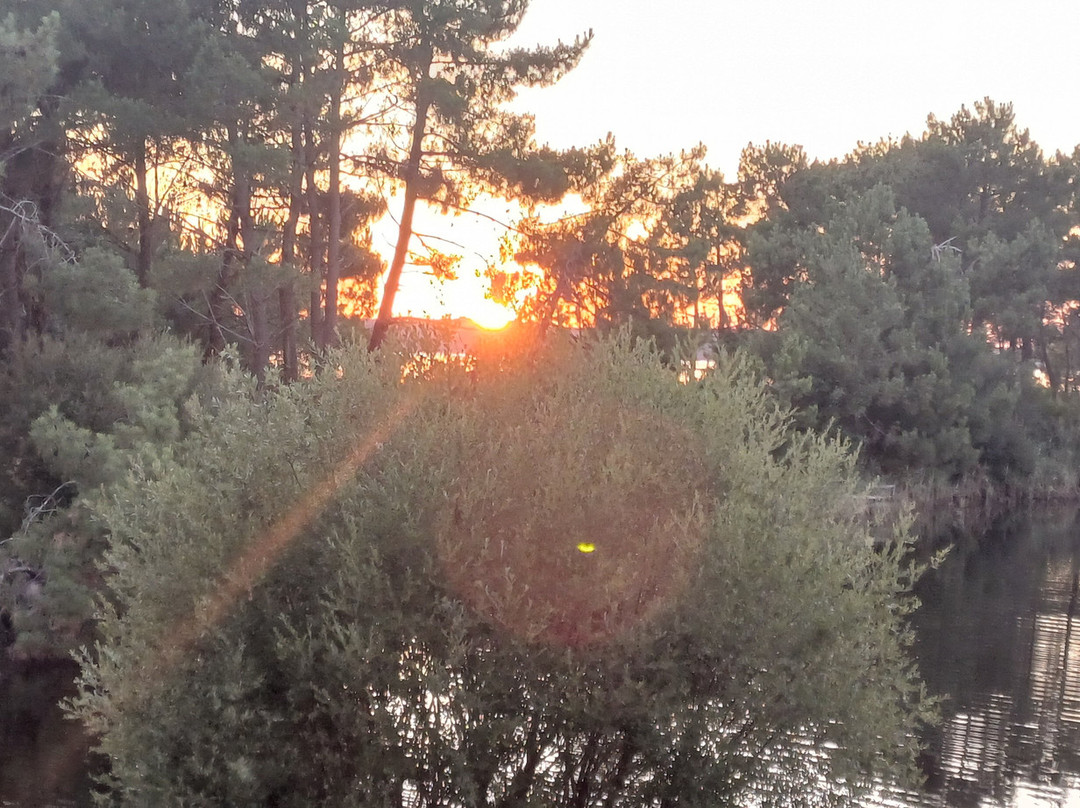 Havana Café Hourtin Port