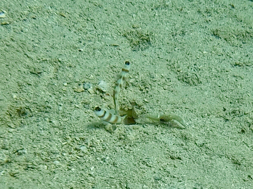 Extra Divers Makadi Bay-马卡迪湾必去景点