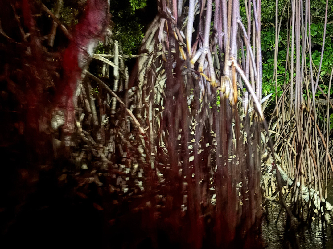 BioIsland-Cabezas必去景点