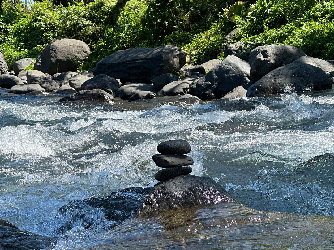 Pannzian Beach主图