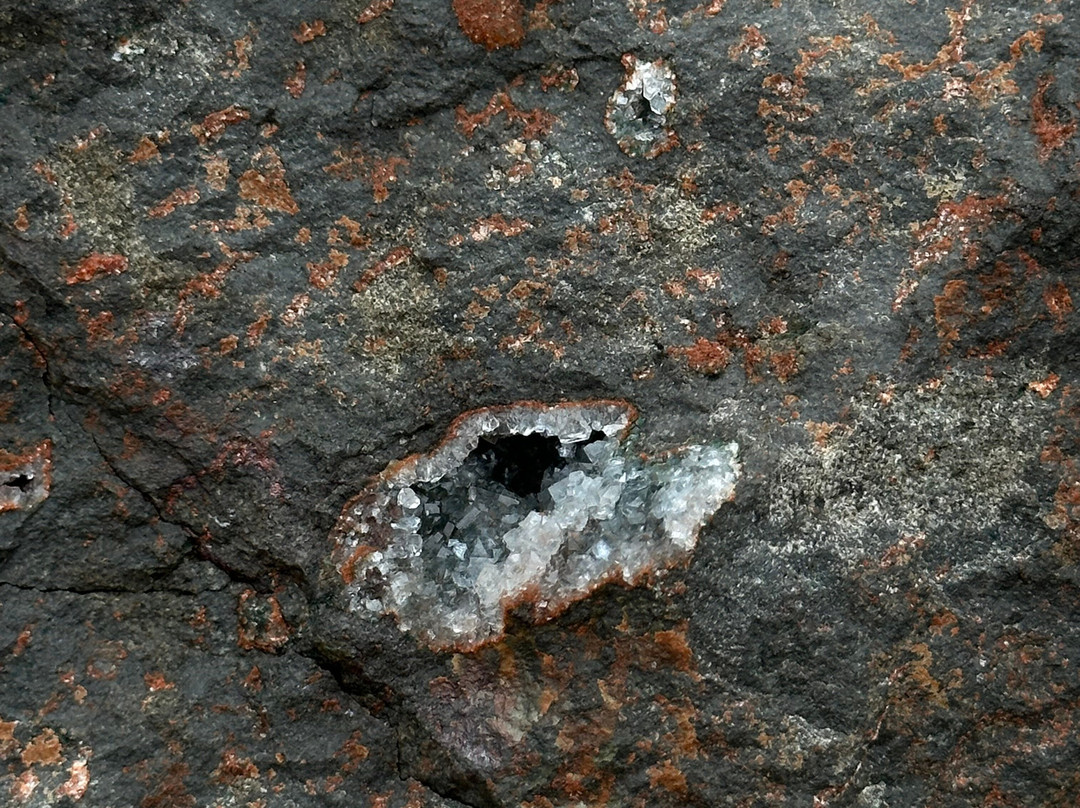 Fundy Treasure Tours-Joggins必去景点