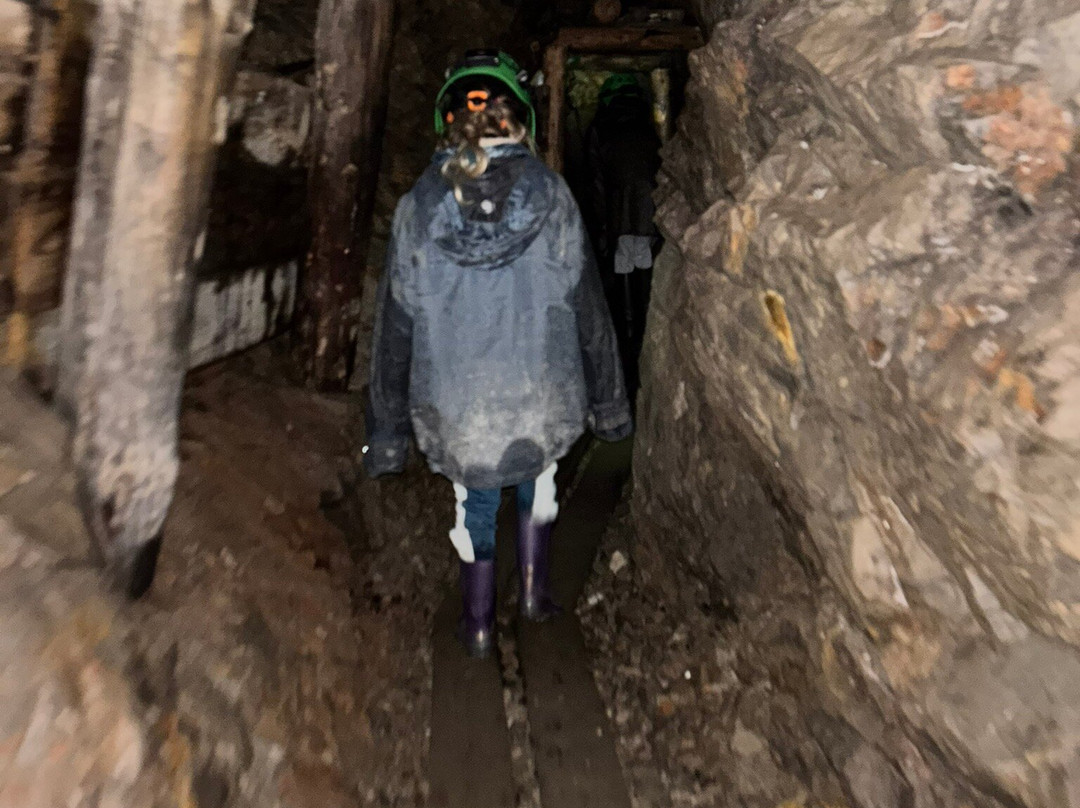 L'Aventure des Mines-Sainte-Marie-aux-Mines必去景点