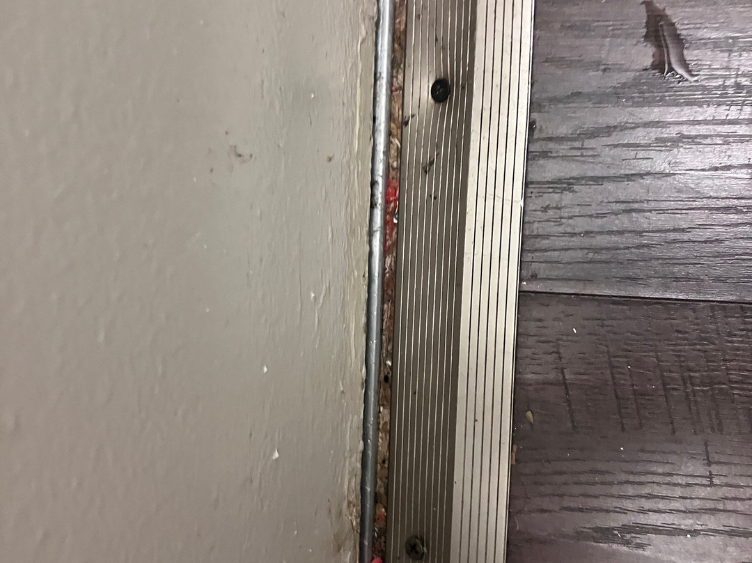 Comfort Inn Federal Way主图