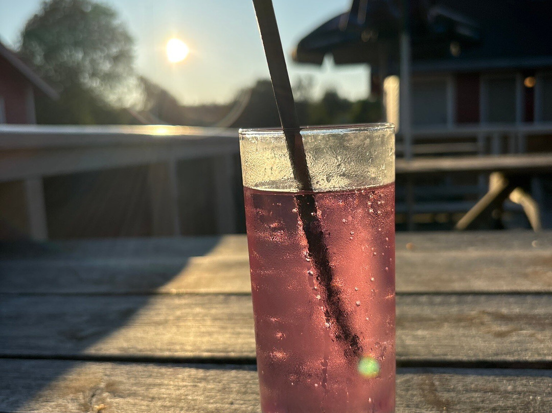 Kråka Spiseri På Vega