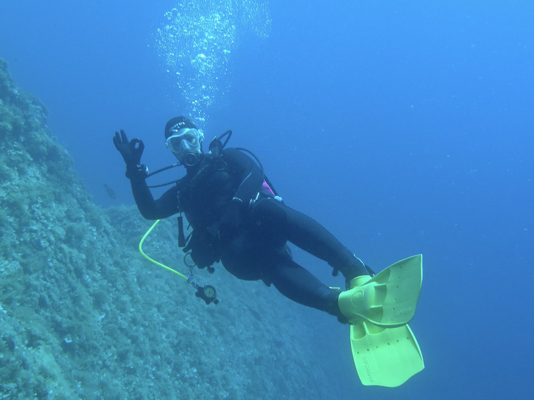 SEA STAR diving resort-Molunat必去景点