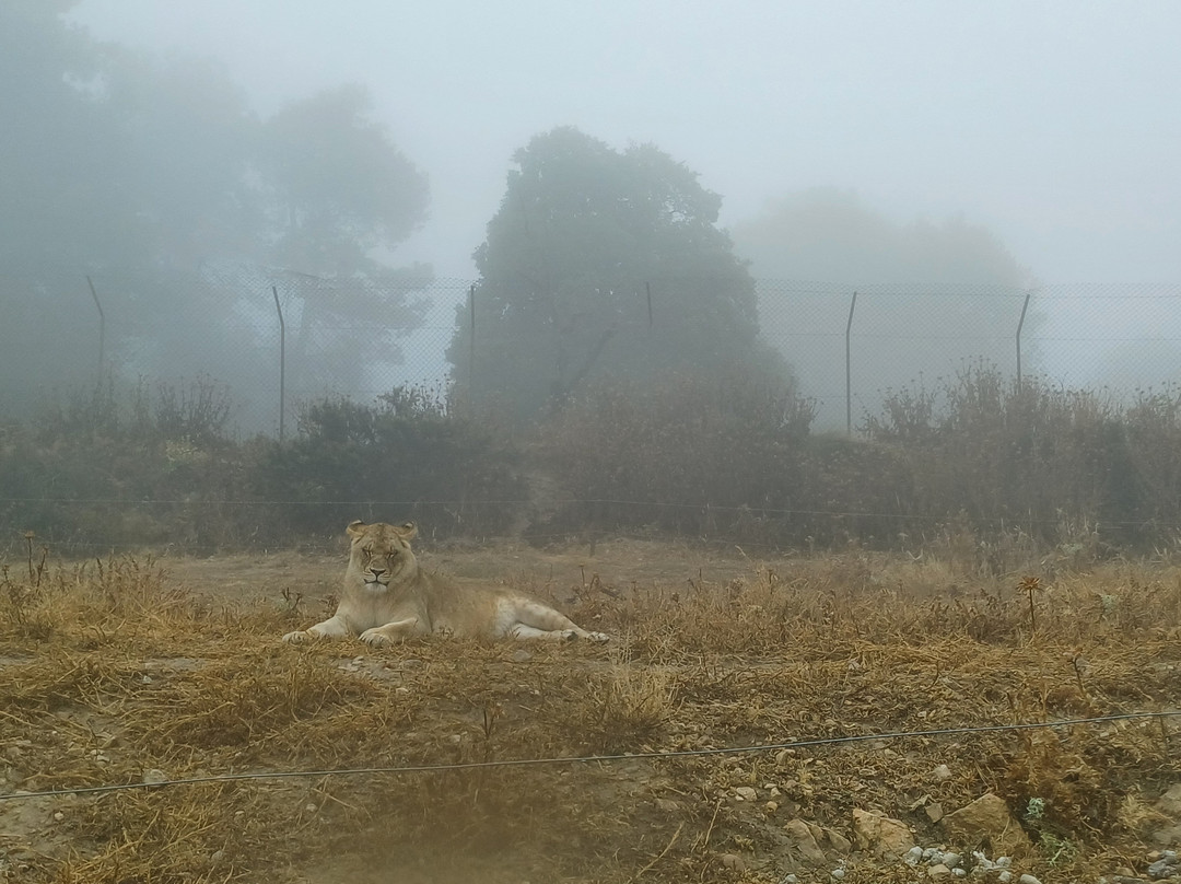 Safari Aitana-Penaguila必去景点