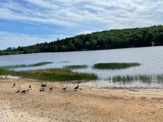 Inn On The Lake-浴室