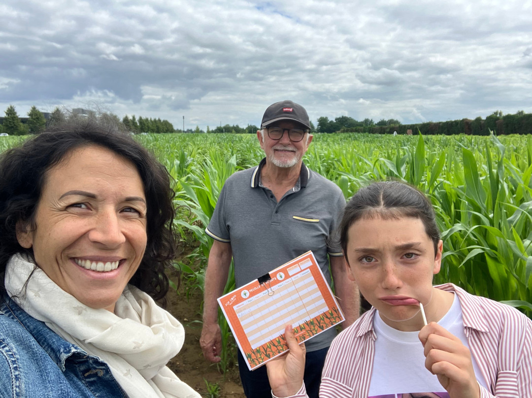 Saint-Martin-du-Vivier旅游景点-Pop Corn Labyrinthe Rouen - Bois-Guillaume