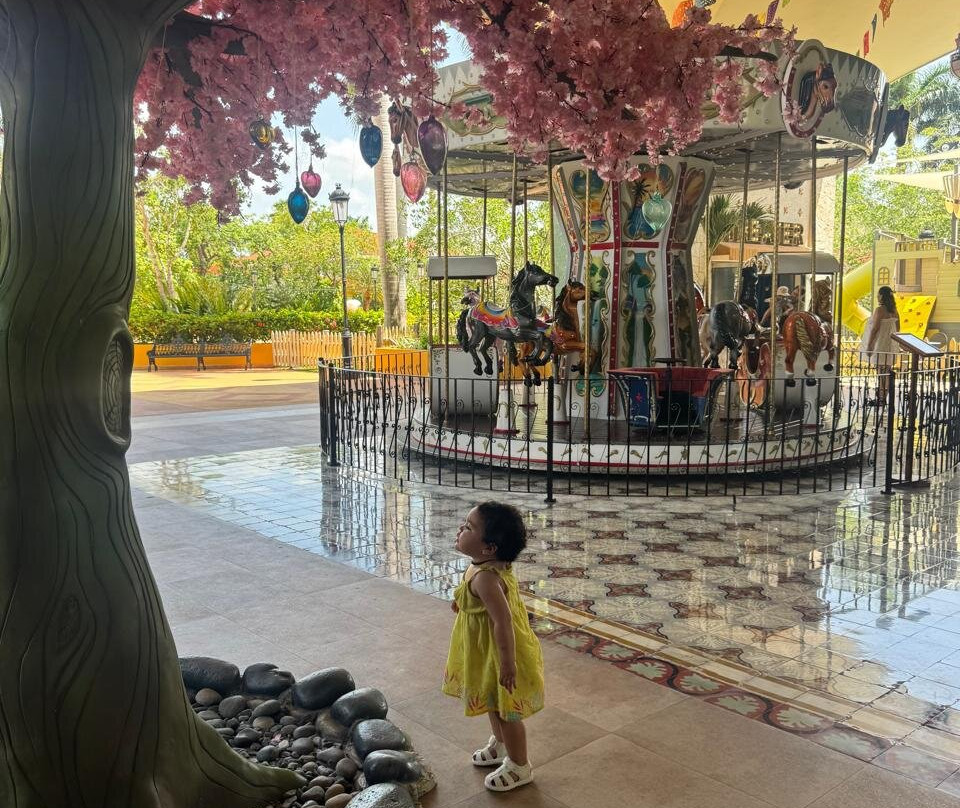 Iberostar Selection Paraiso Lindo主图