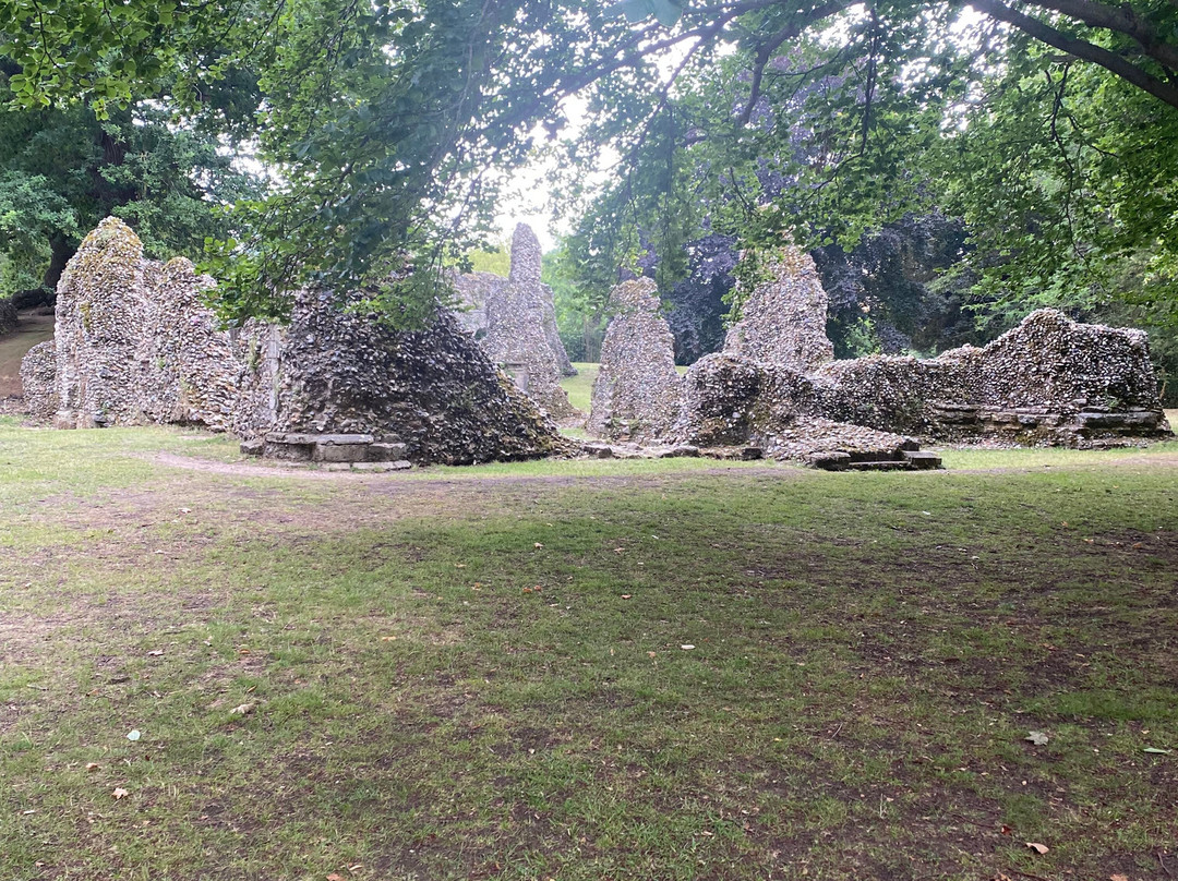 Fox Hotel Bury St Edmunds主图