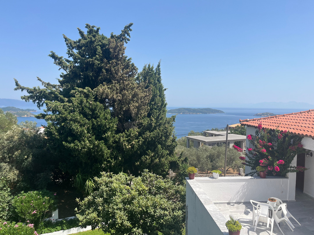 Paradise Hotel主图